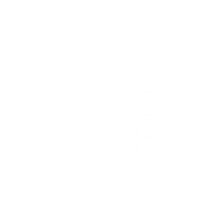 Temperature Icon